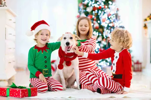 Christmas outfits for deals the whole family